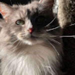 Meet your Posher, Beverly